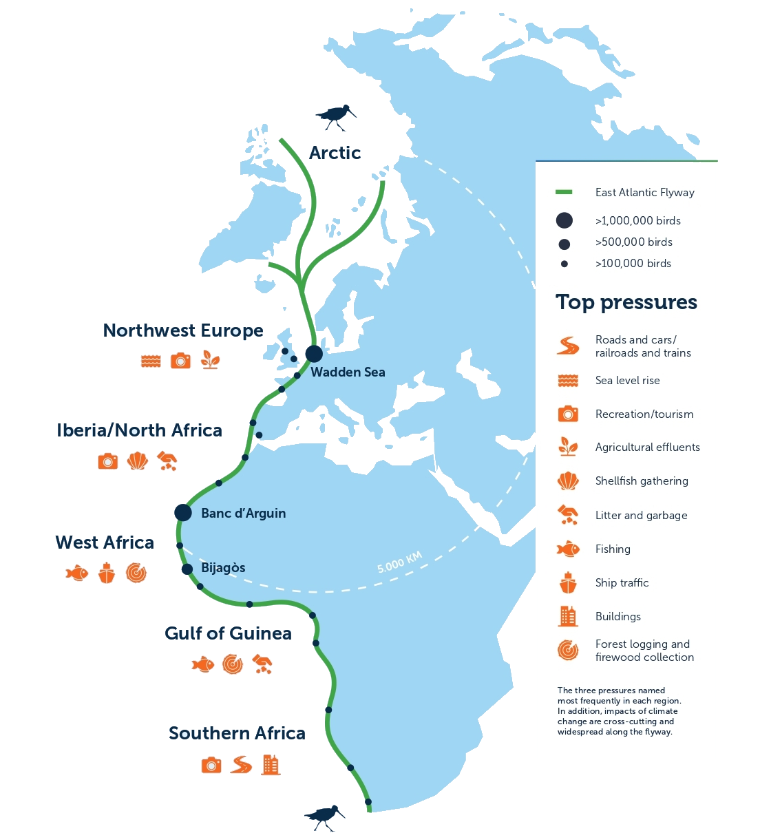 East Atlantic Flyway | Flyways Initiative